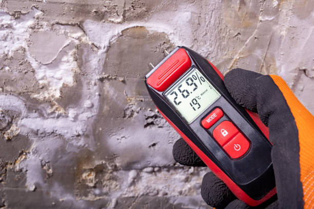 Best Fast Mold Removal  in Windsor, MO