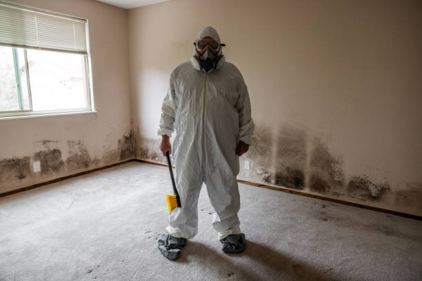 Certified Mold Removal in Windsor, MO